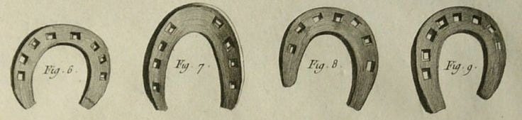 This may contain: an old book with different types of horseshoes