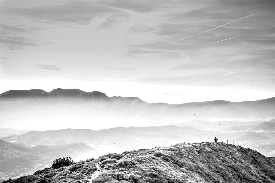 green field under yellow sky