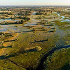 Earth’s seasonal rhythms are changing, putting species and ecosystems at risk
