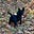 Lou Ann's avatar