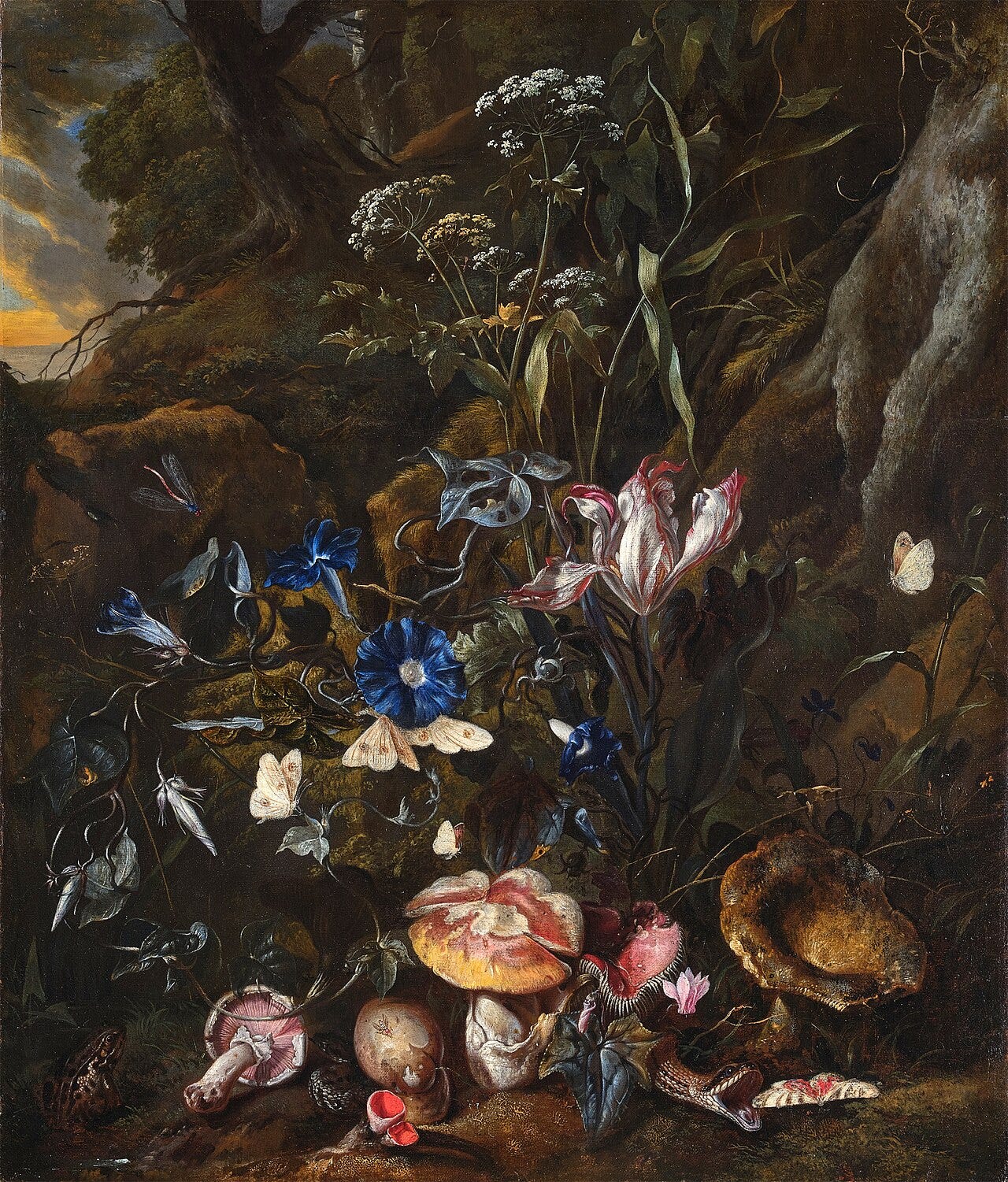 Ground level still life with a frog