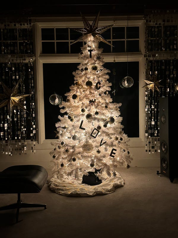 My Everyday Life Week 51 of 2025- Tracy Benjamin of Shutterbean.com