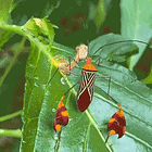 We Don't Deserve Our Friend Mexico. Tabs, Wed., Feb. 25, 2026