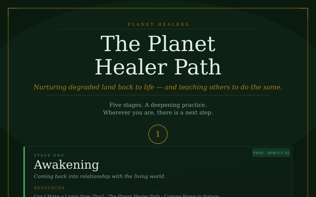 The path has a shape now - Planet Healers’s Substack