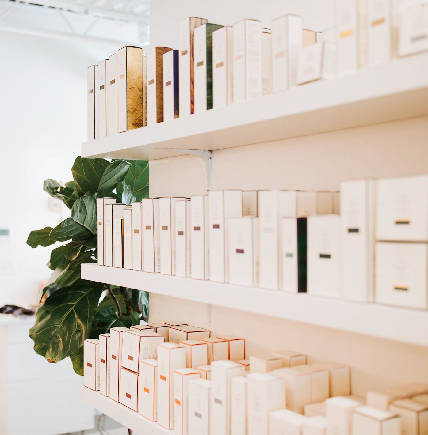 Screen Shot 2021-10-06 at 6.55.36 PM.png