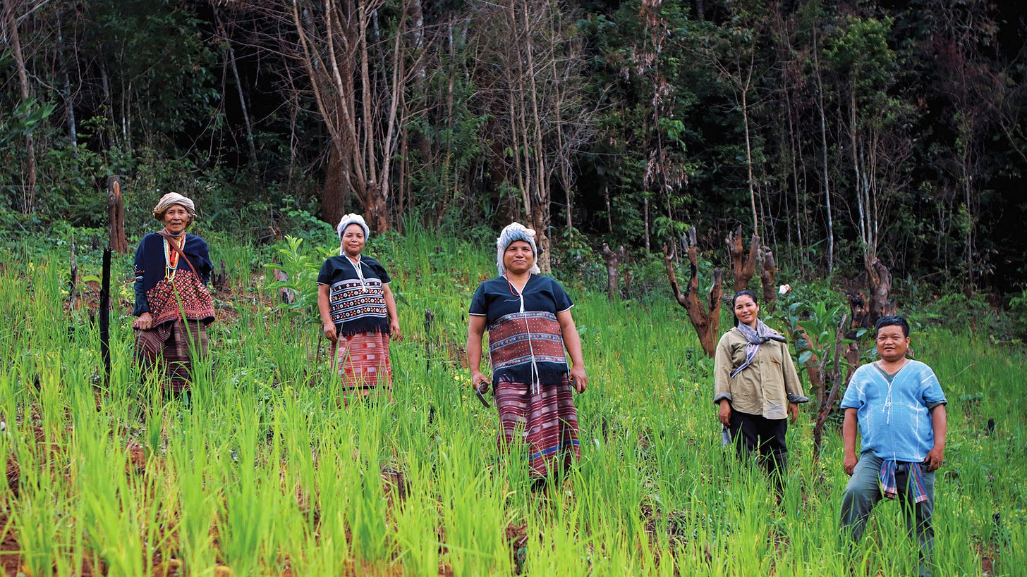 Rotation Farming in Thailand: A Sustainable and Cultural Practice - The ...