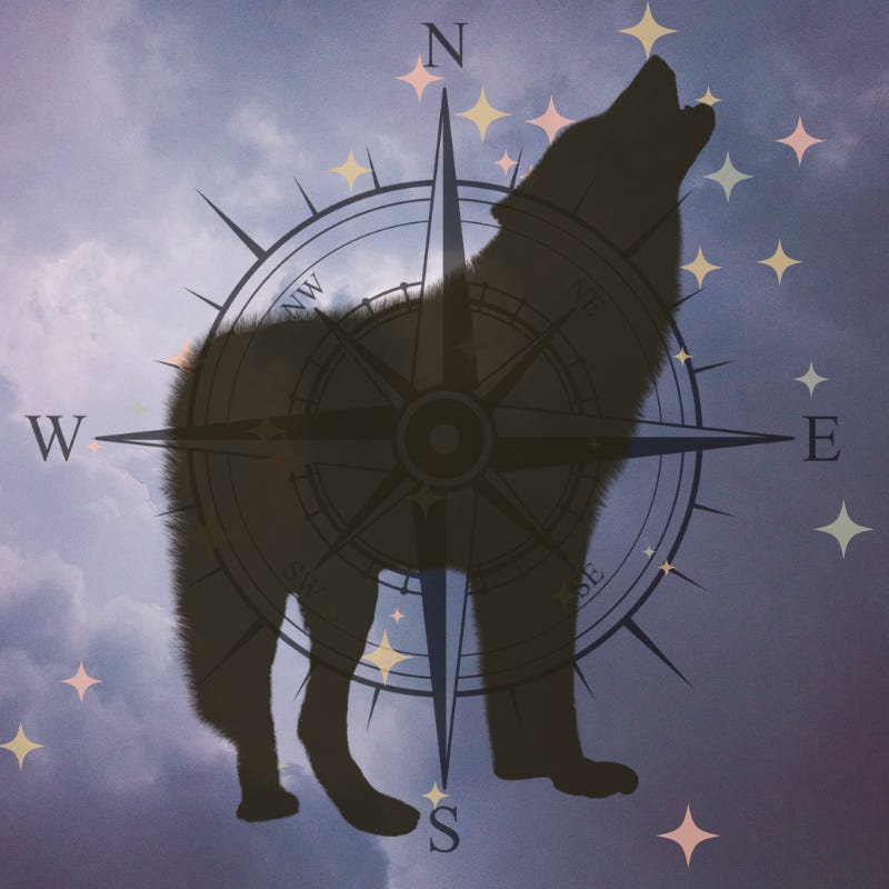 Shannon’s Frequently Infrequent Substack