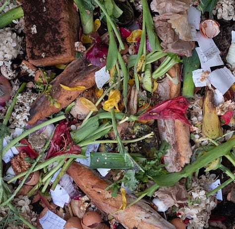 Three square photographs of bread in a compost pile.