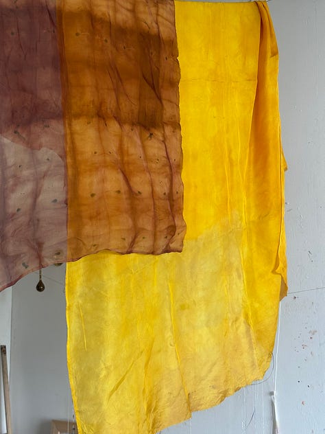Images of natural dye pot, shibori dye organza and a natural dye library