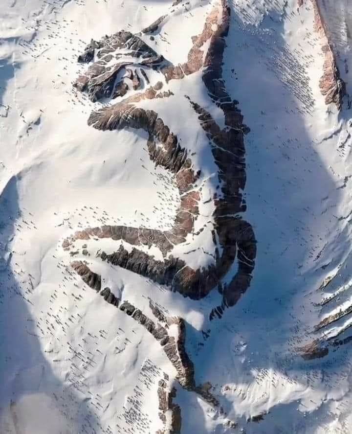 DAS ERWACHEN DER GIGANTEN