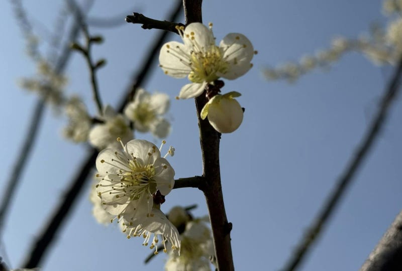 스크린샷_2024-03-24_오전_11.19.45.png 스크린샷_2024-03-24_오전_11.19.45.png