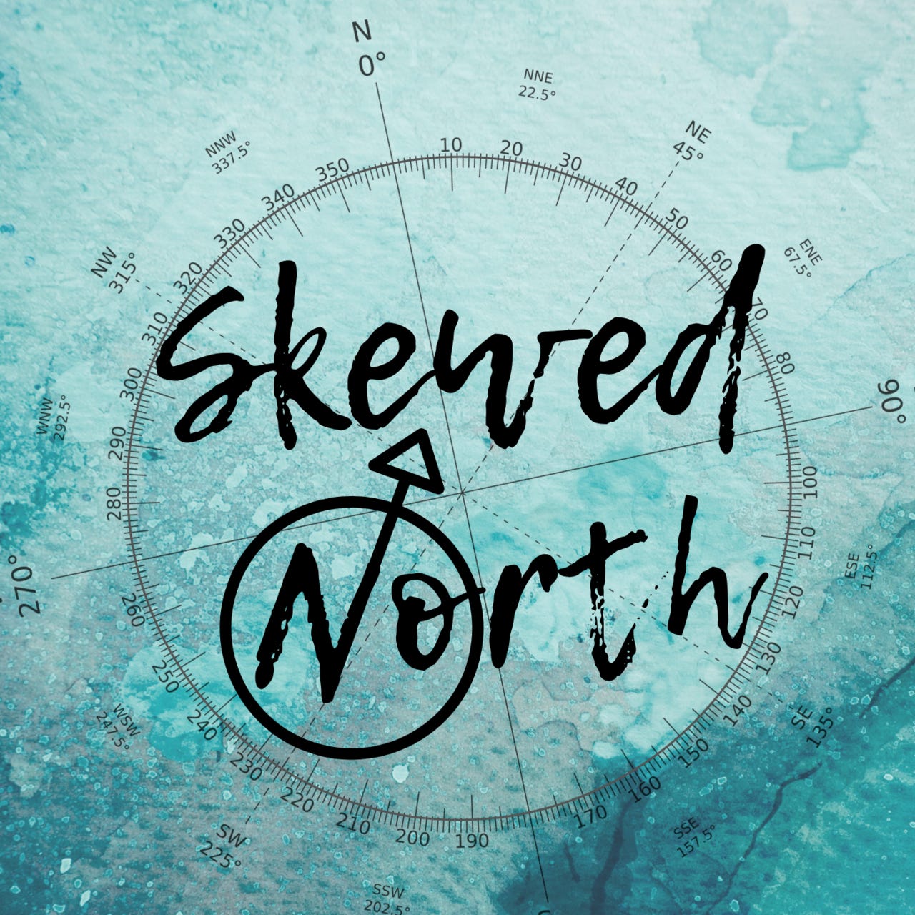 Skewed North by Jolene Dames