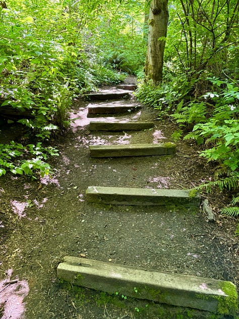 labyrinth walk, Parisian-style pastries in a case, and wood steps along a nature path