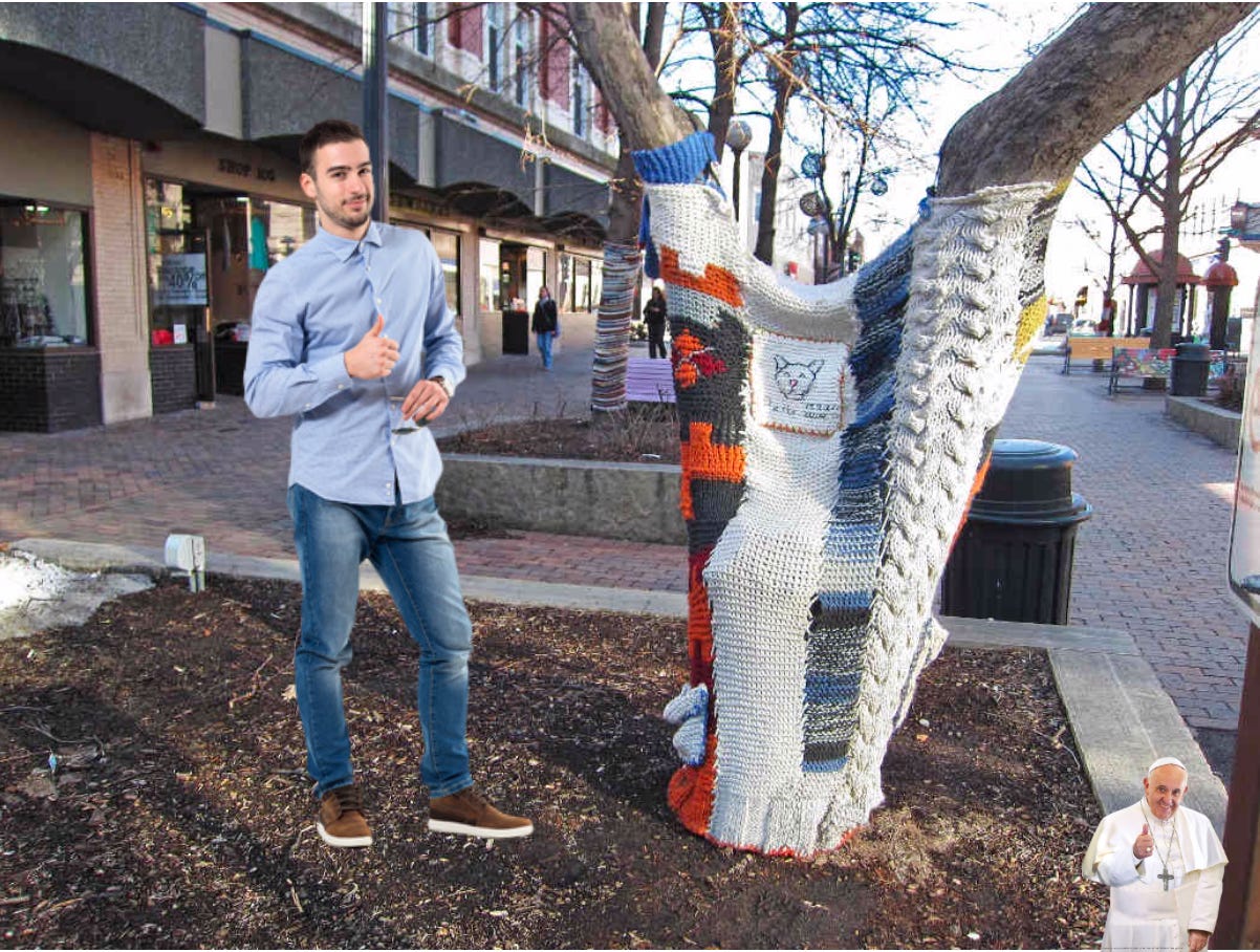 tree with a sweater
