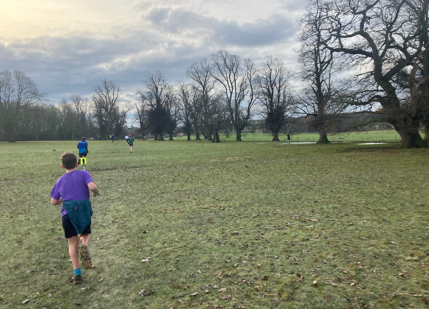 Running through a field, tall trees on one side