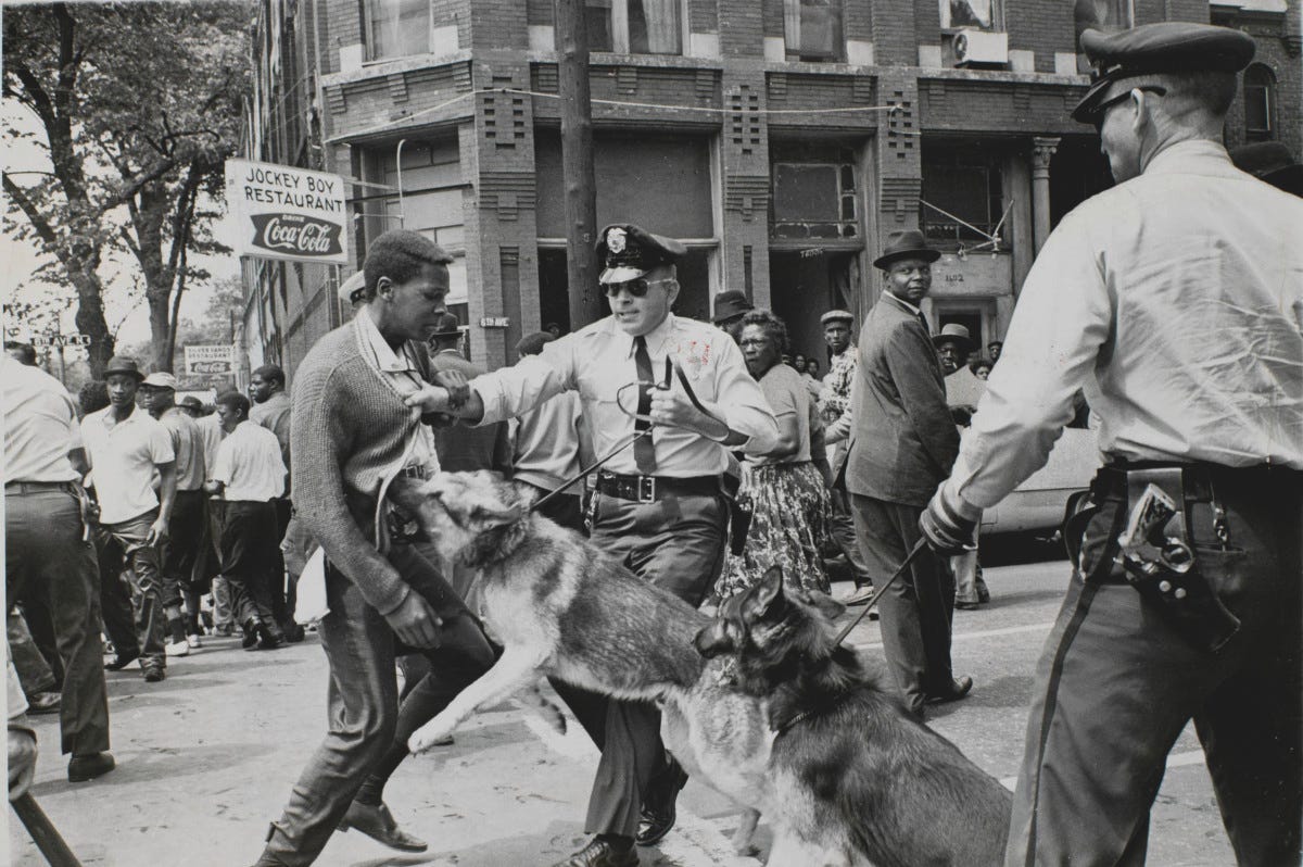 Police Dog Attack, Birmingham, Alabama - High Museum of Art Police Dog Attack, Birmingham, Alabama - High Museum of Art