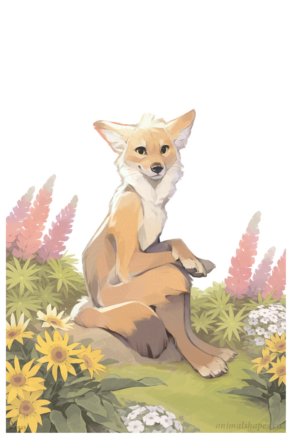 "The love of the diver for his world of wavering light. His world of pearls and tendrils and his breath at his breast. Born as a plunger into the deeps he is at one with every swarm of lime-green fish, with every colored sponge. As he holds himself to the ocean's faery floor, one hand clasped to a bedded whale's rib, he is complete and infinite. Pulse, power and universe sway in his body. He is in love." —Mervyn Peake