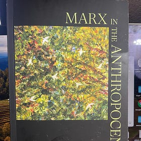 The Case for Degrowth Communism - Kohei Saito's Marx in the Anthropocene 