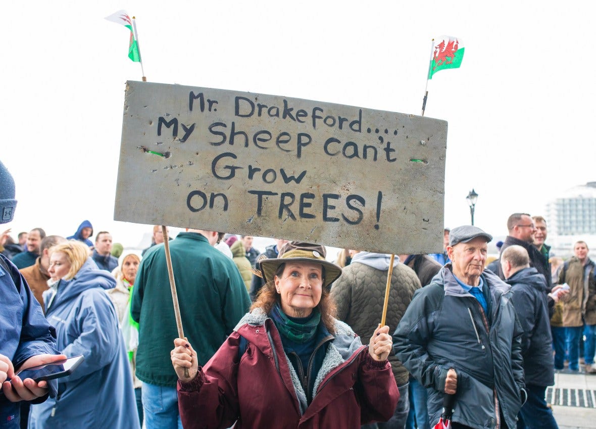 Welsh farmers protest outside the Senedd, in Cardiff, last month over planned changes to post-Brexit subsidies which will require more land to be given over by them for tree planting and habitat creation