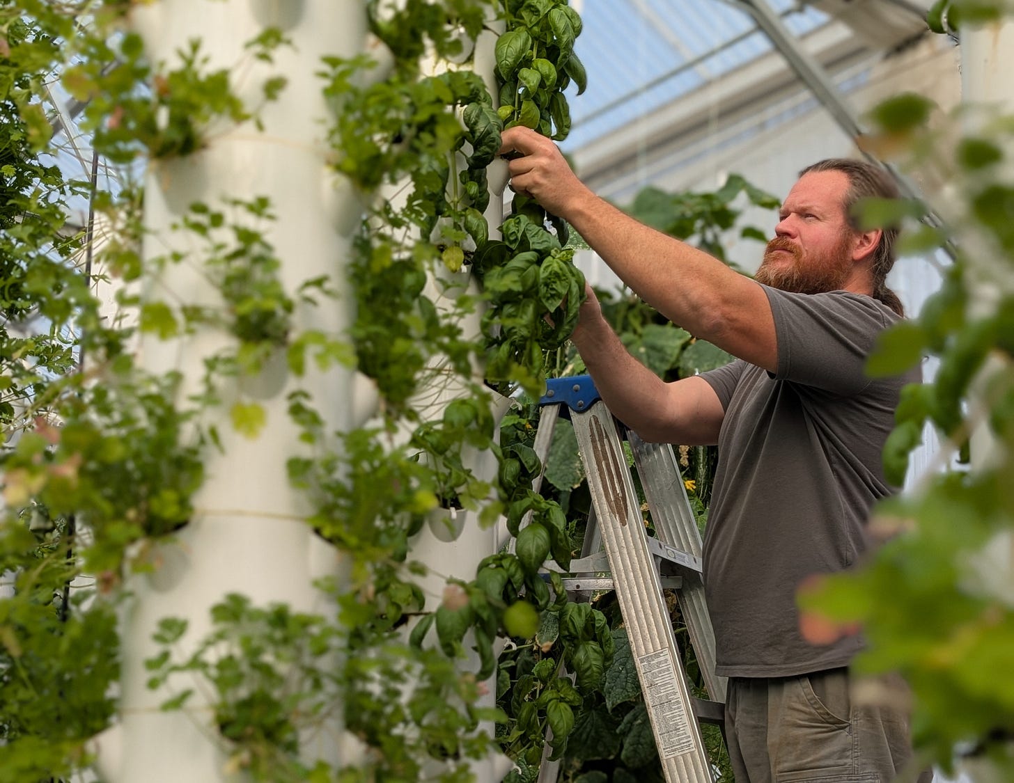 Devin's Impact Pick of the Week: Where Growth Begins