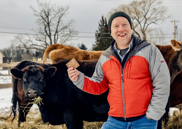 Angel, la vache vivante dont le cuir pousse en laboratoire Angel, la vache vivante dont le cuir pousse en laboratoire
