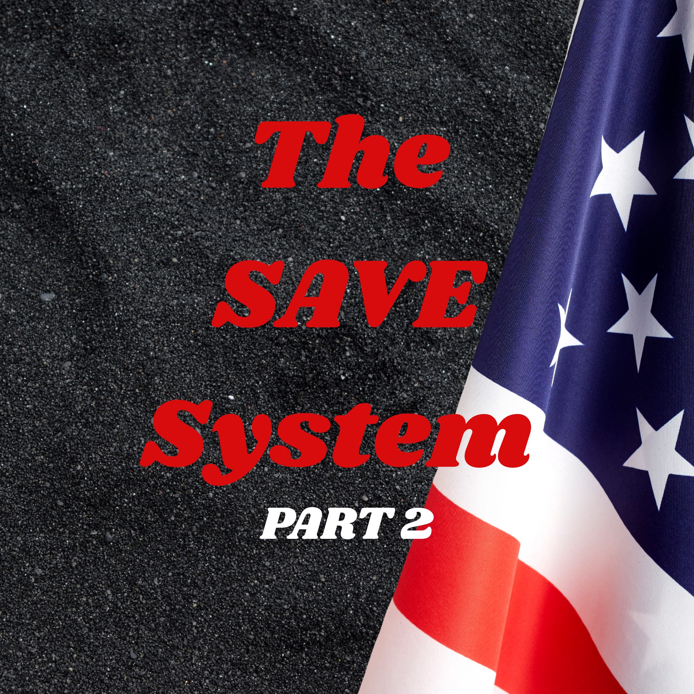 Part 2 The SAVE System Investigation