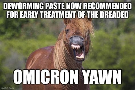 HORSE YAWN RESPECTING OMICRON - Imgflip HORSE YAWN RESPECTING OMICRON - Imgflip
