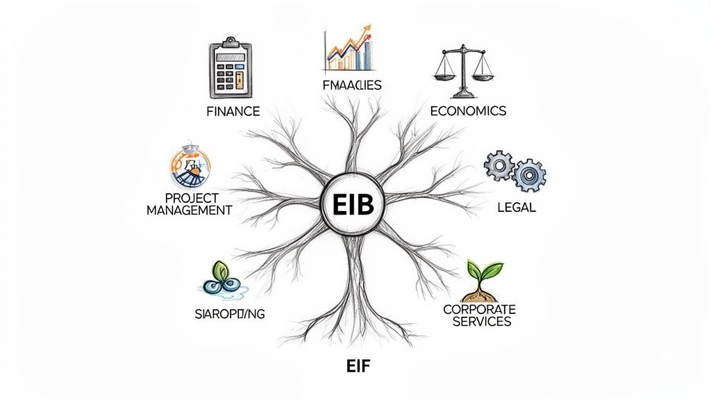 A tree diagram with EIB at the center, connecting to Finance, Economics, Legal, Project Management, Corporate Services.