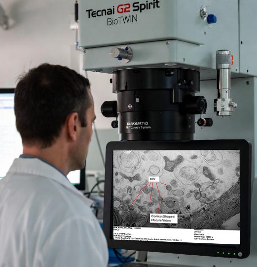 VERO Control Culture Transmission Electron Microscopy   