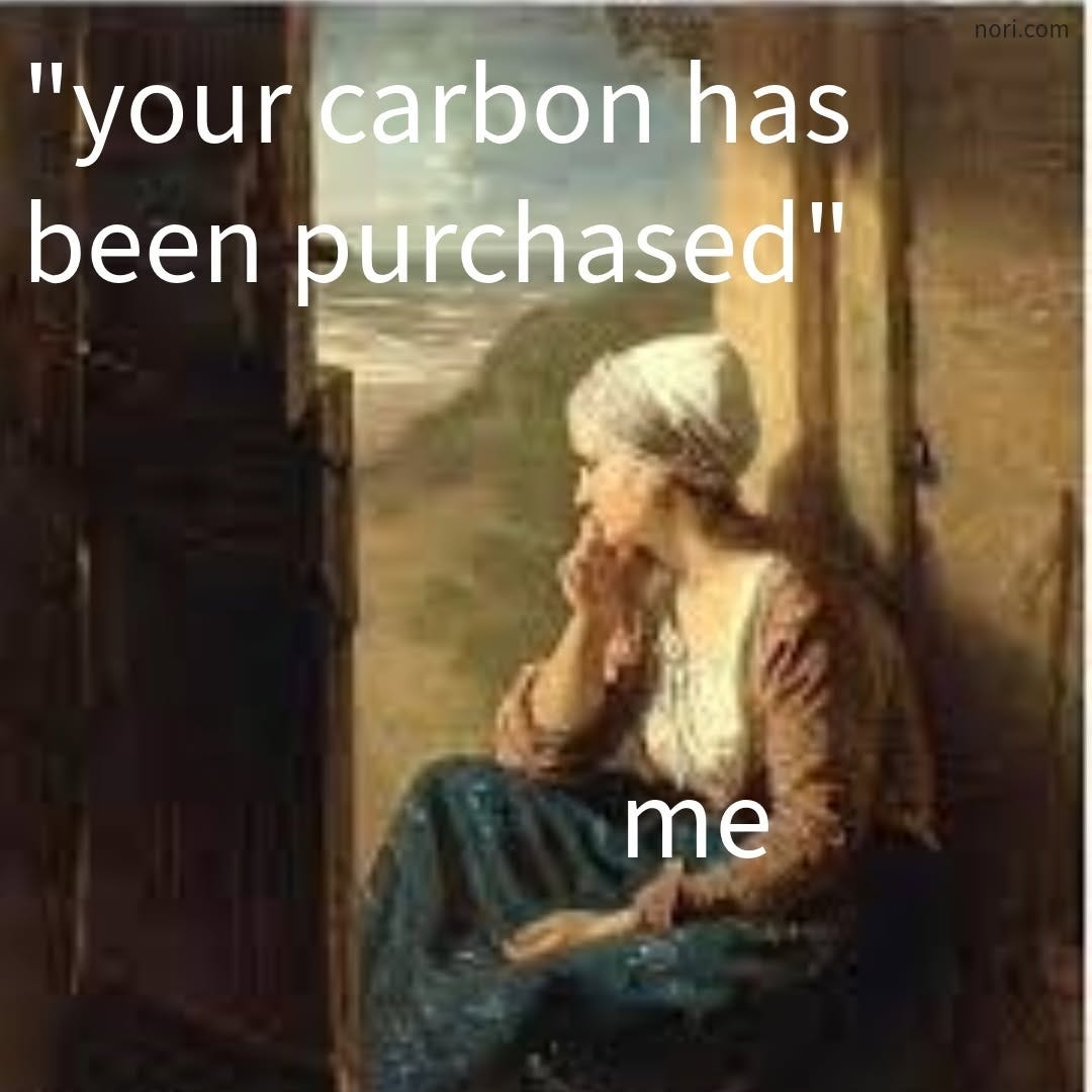 A painting of a woman gazing wistfully out of a window, labelled "me", under the text "'your carbon has been purchased'".