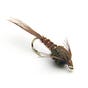 Fisher Ankney's avatar