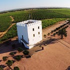A Monumental Alentejo Wine