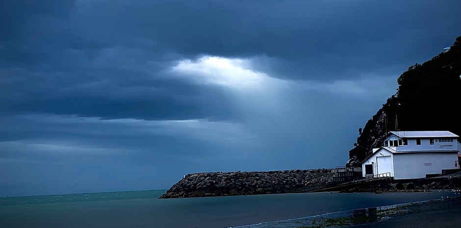 An urgent Open Letter to all Members of Parliament 1 Gene Tech Bill letter