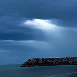 The FreeNZ Editorial