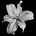 ☾𓂃 كارا 𓂃☽'s avatar
