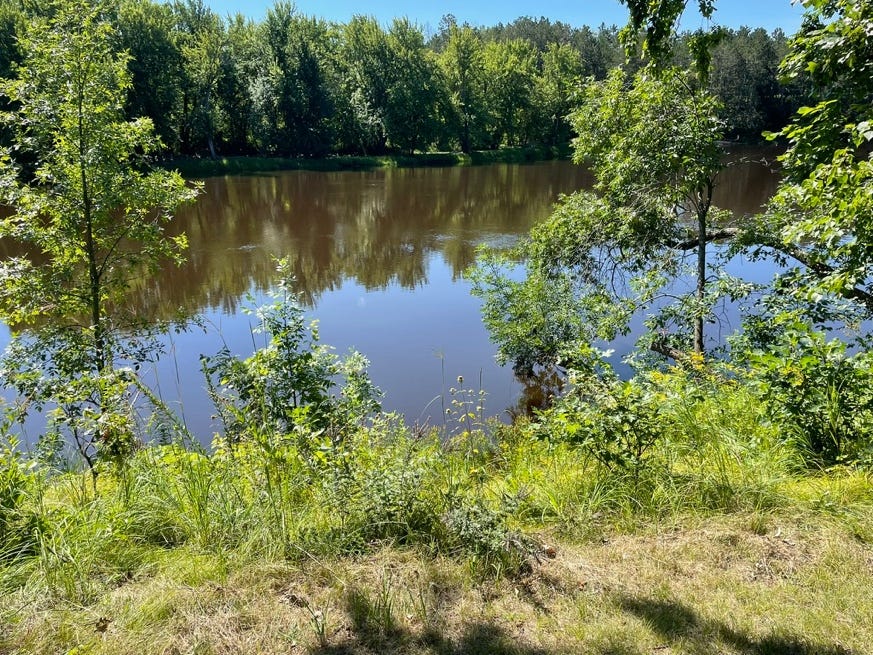 A river with trees around it

Description automatically generated