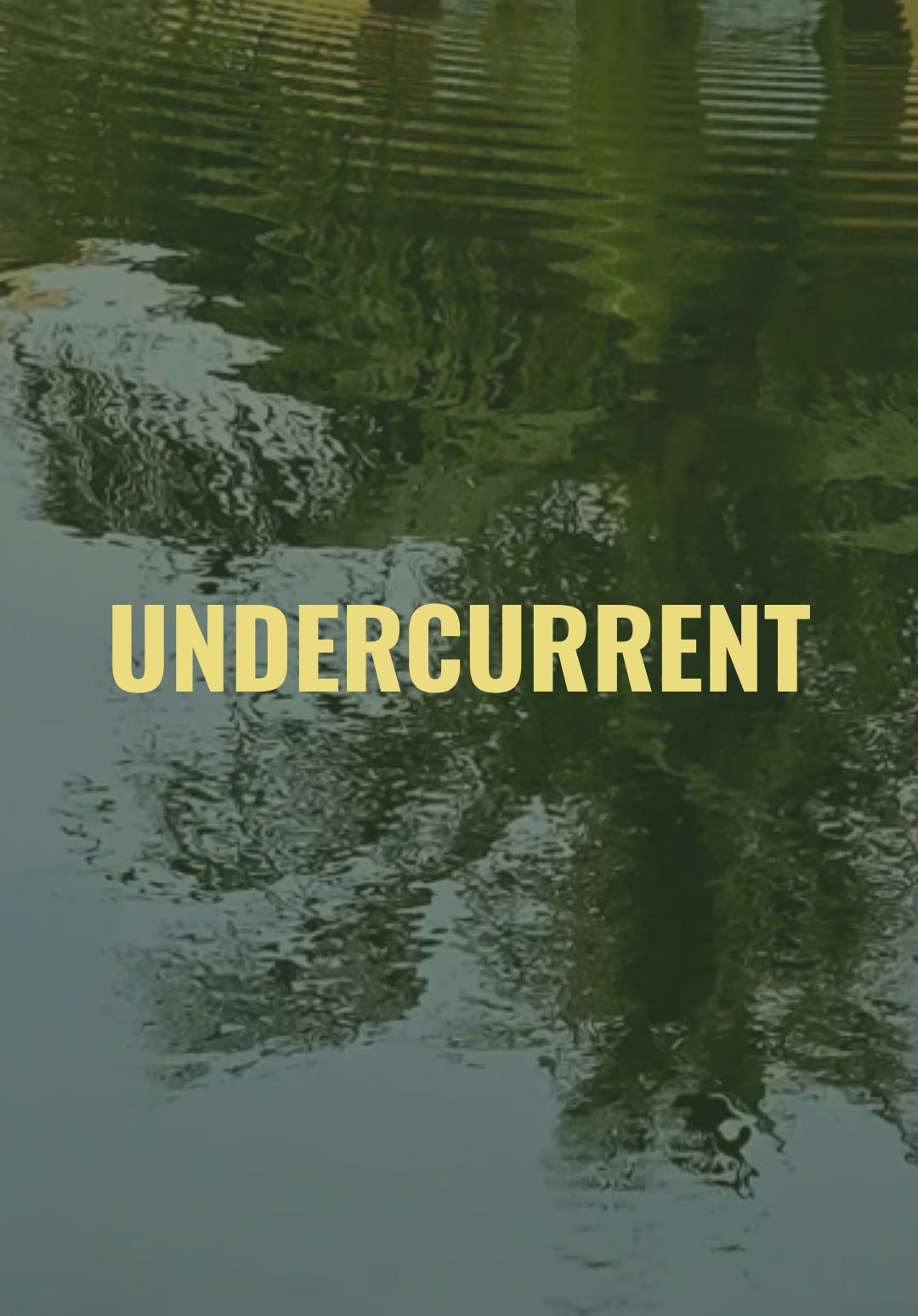 Undercurrent - Cal's Substack