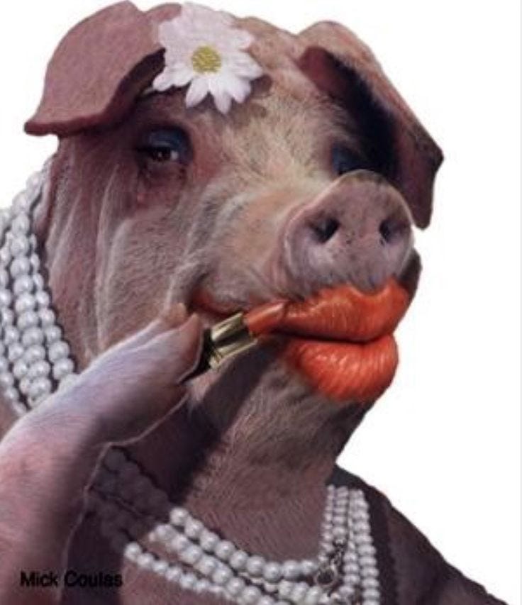 Lipstick on a pig Blank Template - Imgflip
