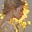 Soleil's avatar