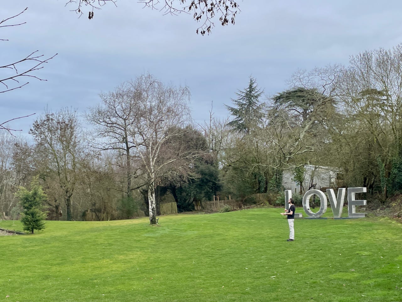 notdrinkingpoison.substack.com - Aaron Ayscough - DROPLETS: The Week in Natural Wine