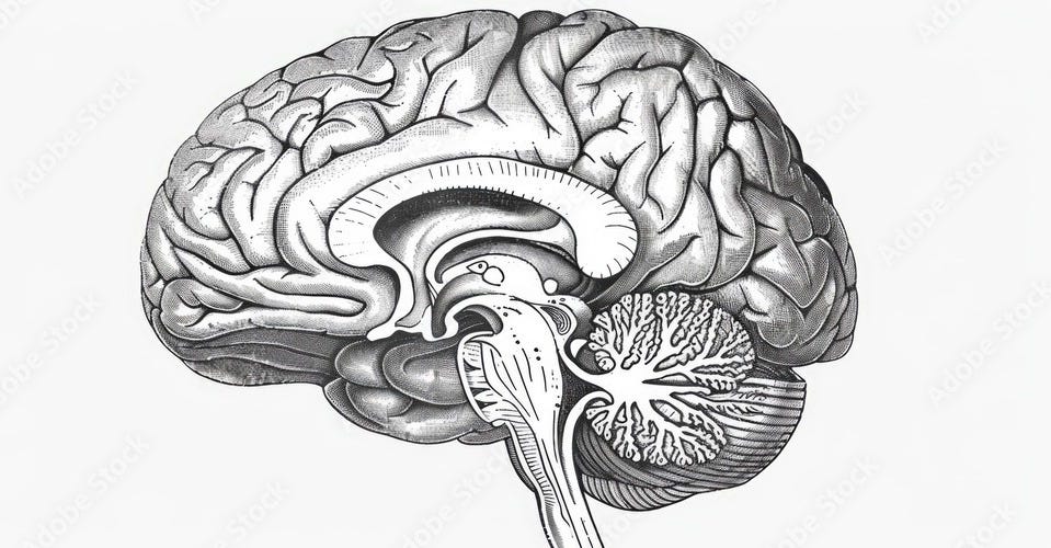 Challenging Materialism: A Philosophical Exploration of Consciousness