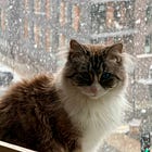 "It’s Awfy Dreich Oot There!"
