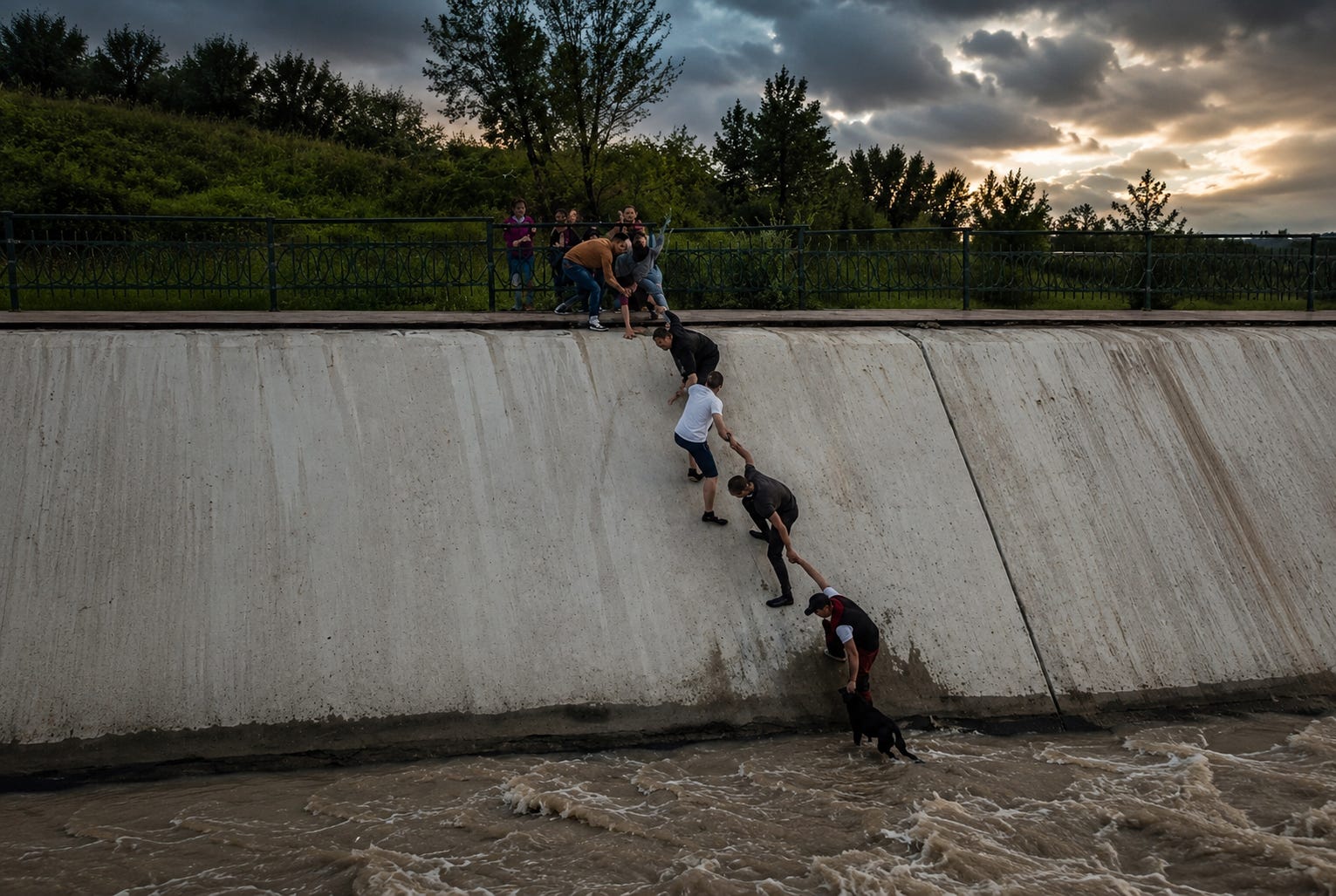 In 2016, in Almaty, a dog falls into the dam and is unable to get out due to slippery banks. People form a human chain to save the dog. After 10 years, this unforgettable moment is immortalized with a statue in March 2026. In 2016, in Almaty, a dog falls into the dam and is unable to get out due to slippery banks. People form a human chain to save the dog. After 10 years, this unforgettable moment is immortalized with a statue in March 2026.