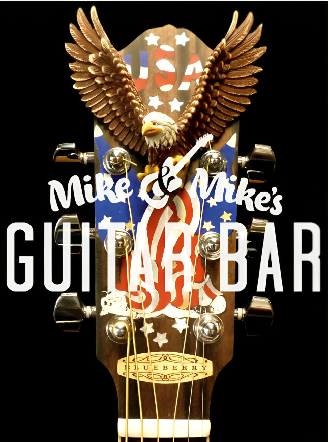 Eagle on the head of a guitar with the USA written in red, white, and blue.