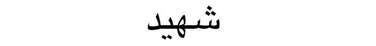 Arabic word شهيد, transliterated shahīd, meaning martyr or witness.