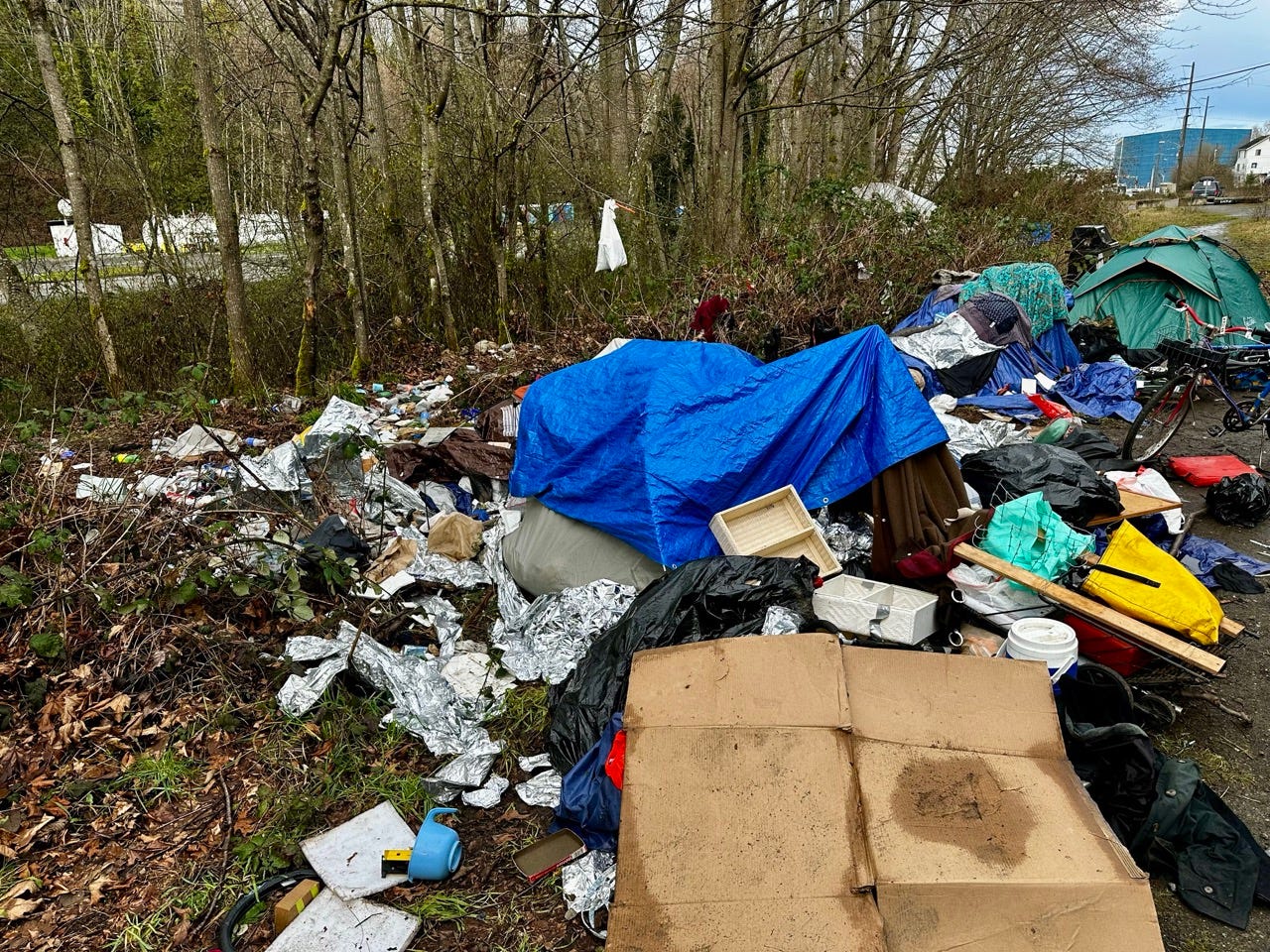 A pile of garbage in the woods

Description automatically generated