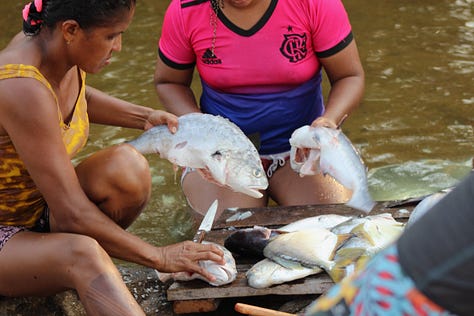 Life on the Volta Grande. Credit: Anita Makri