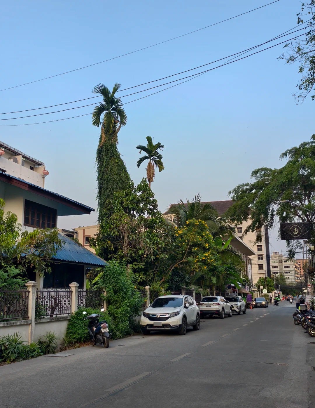 A residential street in the Nimman area of Chiang Mai in late afternoon light, with parked scooters, tile-roofed houses, and condo blocks behind. A residential street in the Nimman area of Chiang Mai in late afternoon light, with parked scooters, tile-roofed houses, and condo blocks behind.