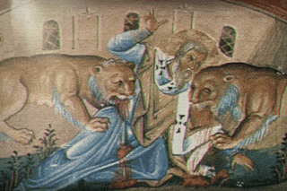 The Wise Wolf | Substack
