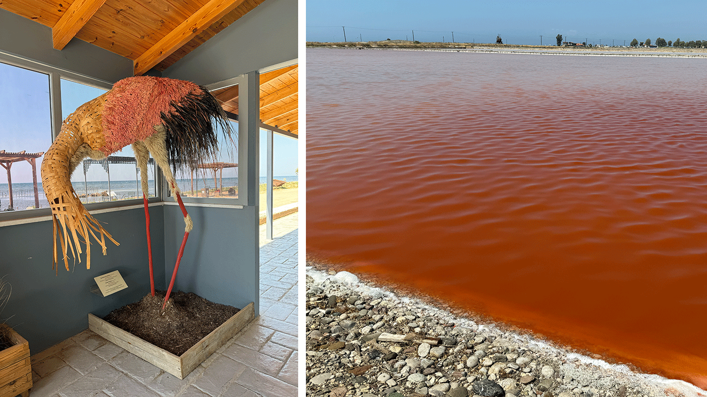 Flamingo sculpture and shrimp-rich waters